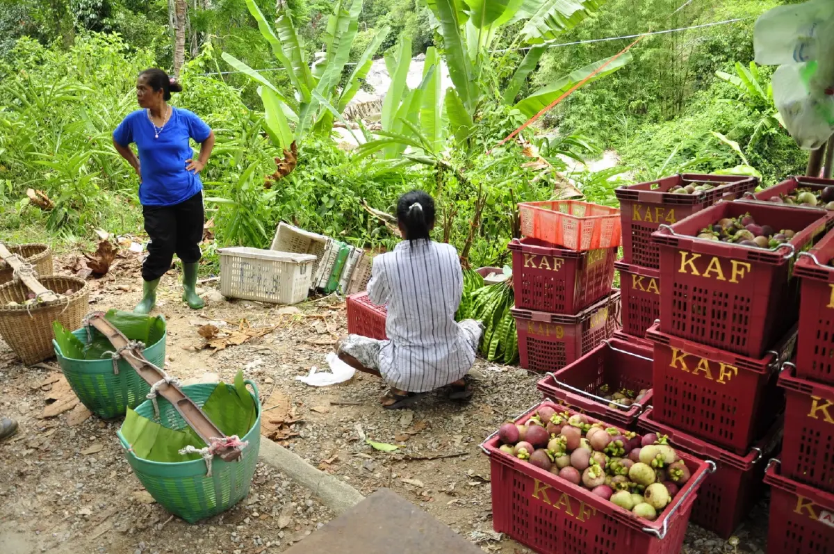 คีรีวง....กักตัวไว้