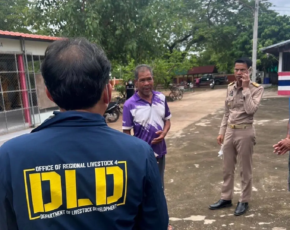 ลาวไฟเขียว นำเข้า หมู โค กระบือ หลังแอนแทรกซ์ไทยคลี่คลาย