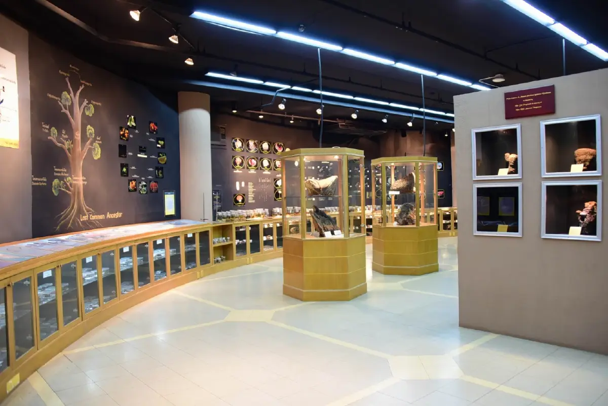 ช่วงหน้าฝน แนะเลี่ยงเห็ดป่าไม่รู้จัก เสี่ยงกินอาจตุยอันตรายถึงตาย