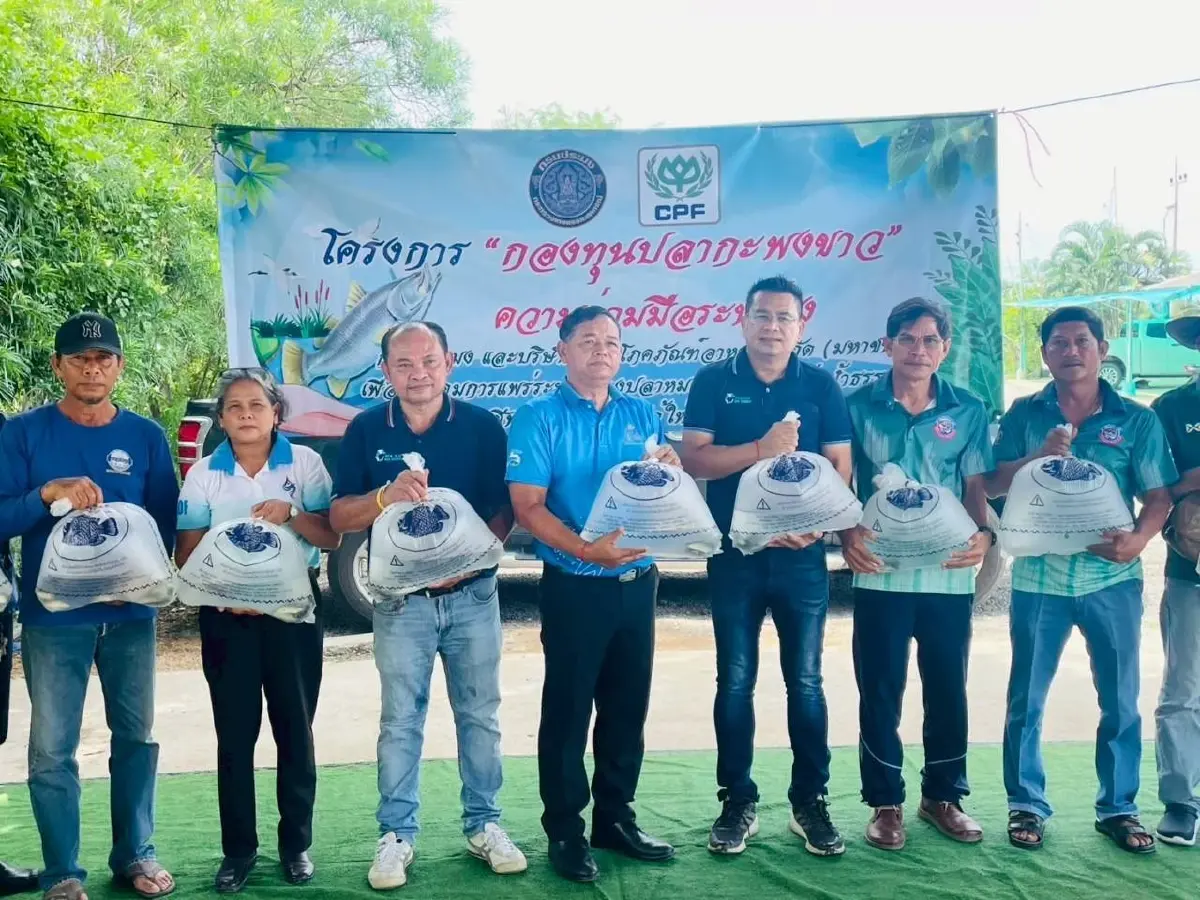 ปลากะพง คุมปลาหมอคางดำได้ผล ซีพีเอฟ-กรมประมง เดินต่อกองทุนเฟส 3
