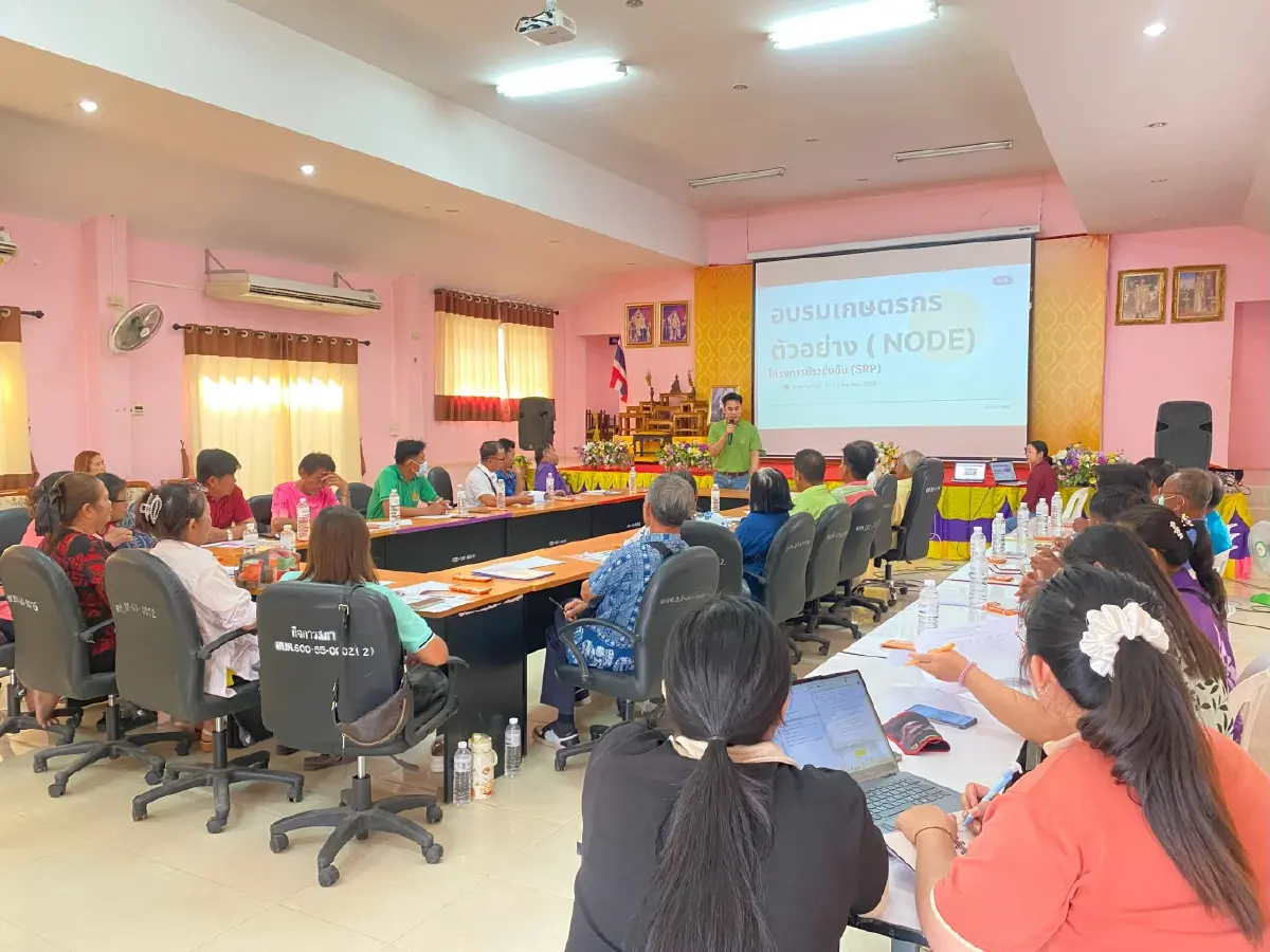 มข. ชงรัฐ! ปลูกข้าวอย่างยั่งยืน ลดต้นทุน เพิ่มกำไร ลดก๊าซเรือนกระจก