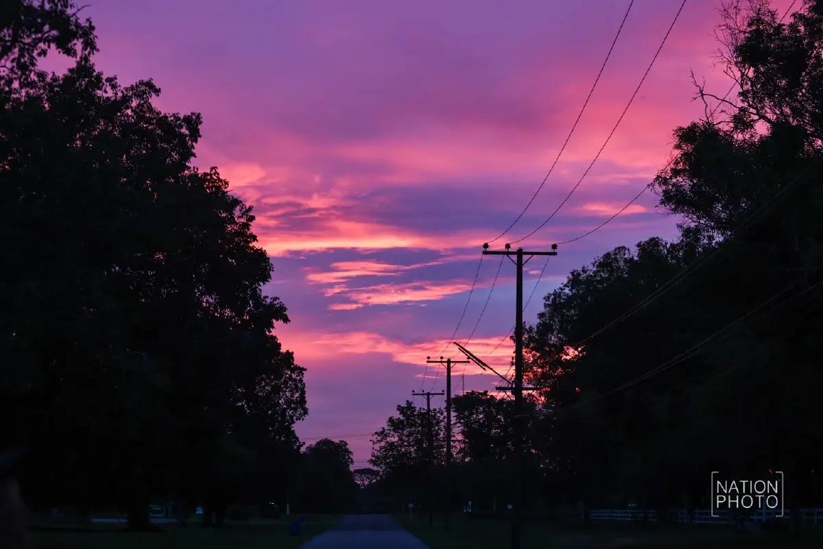 1 ปีมีครั้ง ฤดูกาลหิ่งห้อย ชมปรากฏการณ์ธรรมชาติสุดตระการตา