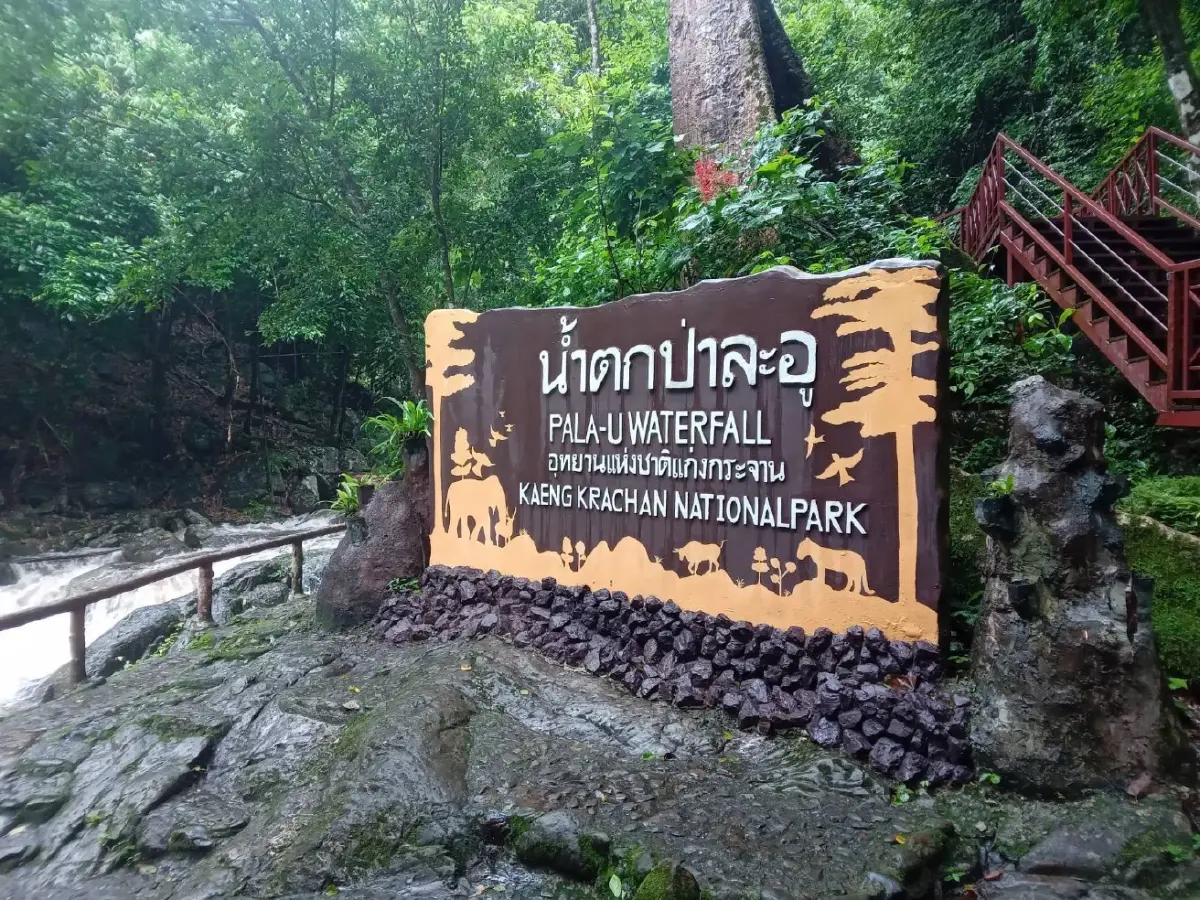 ฝนตกหนัก ทางลื่น จำกัดเข้าชม 'น้ำตกป่าละอู' เพื่อความปลอดภัยนทท.