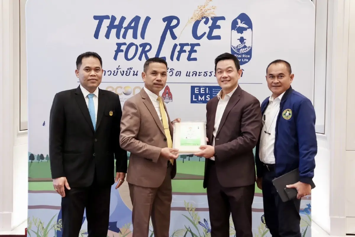 มข. ชงรัฐ! ปลูกข้าวอย่างยั่งยืน ลดต้นทุน เพิ่มกำไร ลดก๊าซเรือนกระจก