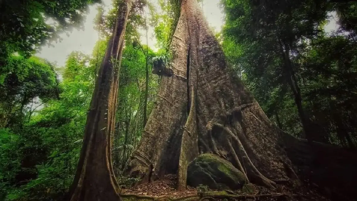 เที่ยวตามรอย ‘Jurassic World : Rebirth’