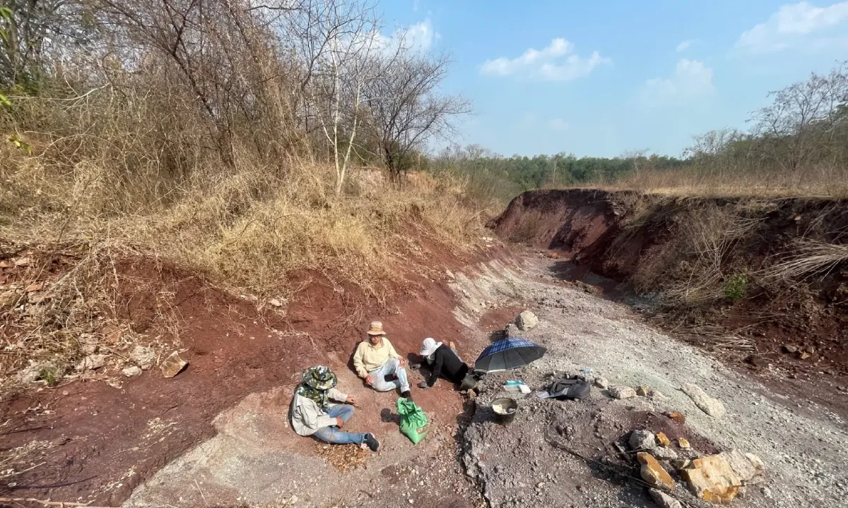 มีมาแล้ว130 ล้านปี เพิ่งค้นพบ 'พญาครุฑ' สัตว์เลื้อยคลานบินได้ตัวแรกของไทย