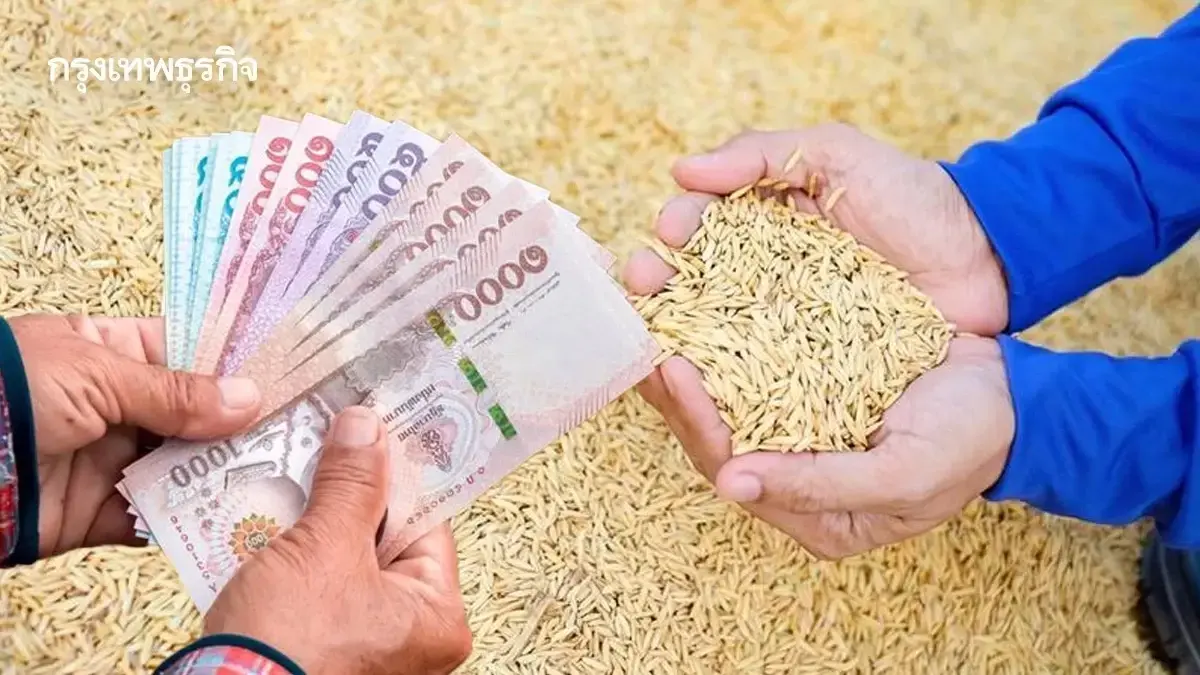 ชาวไร่ชาวนา รัฐจ่าย 500 บาท/ไร่ เงินช่วยเหลือชาวนา 68/69 เช็กสิทธิ