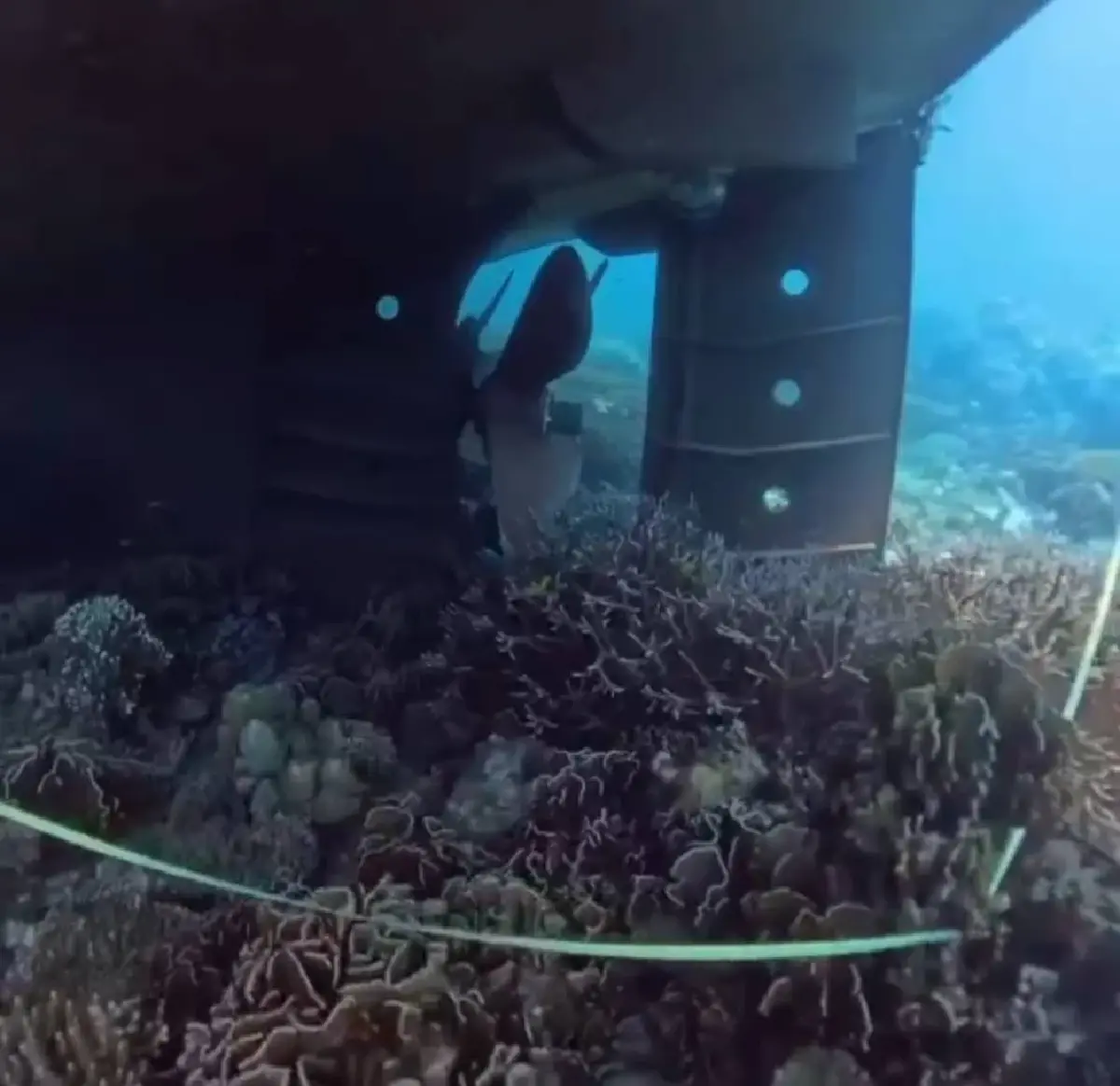 เร่งกู้เรือเมียนมาเกยตื้น หวั่นน้ำมันรั่ว พบปะการังเสียหายหนัก