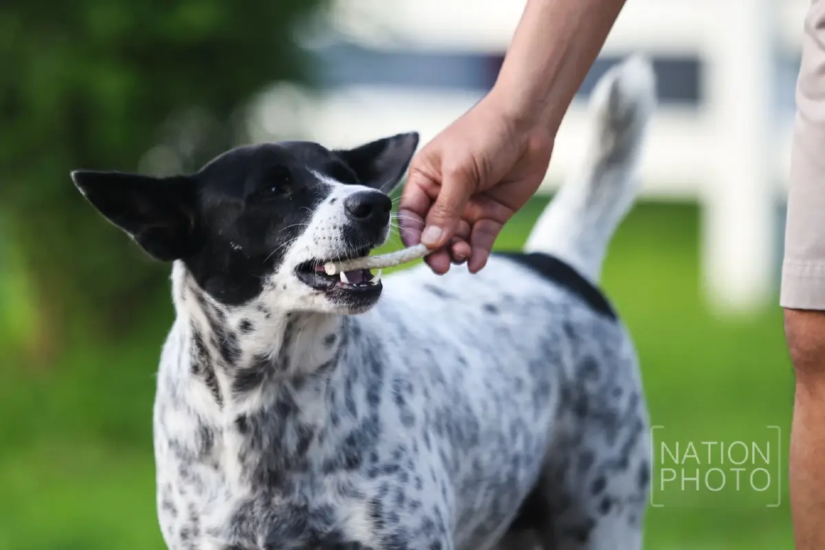 เปิดบ้านพัก แม่ทัพมนต์แคน พล.ท.บุญสิน พาดกลาง มุมชีวิตหลังแนวรบ