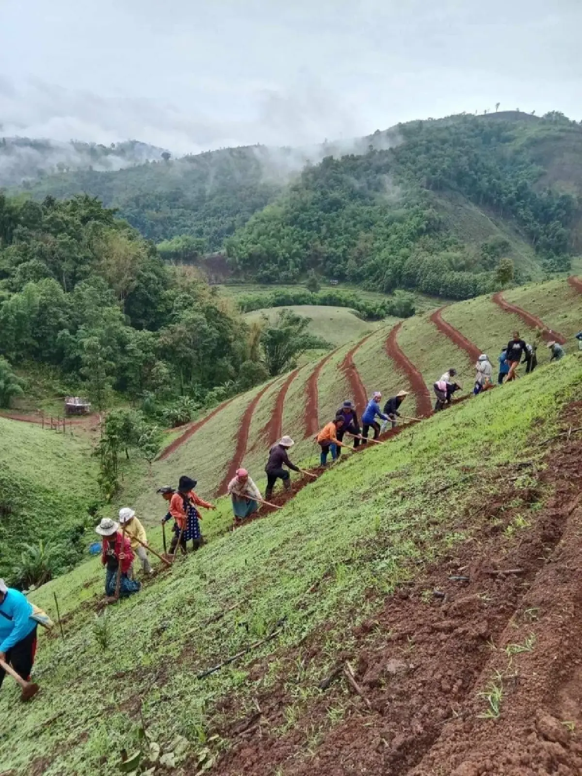 กรมพัฒนาที่ดินเล็งเข้าฟื้นฟูหลังน้ำท่วม ดินพัง น้ำเน่า