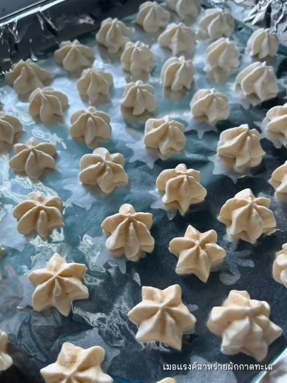 แพ็กเกจจิงรักษ์โลก จากสาหร่ายผักกาดทะเล  อีกช่องทางรายได้เกษตรกร