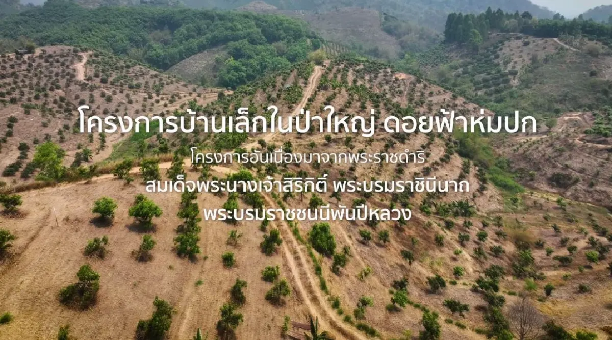 กรมพัฒนาที่ดิน พลิกฟื้นชีวิตเกษตรกรต้นน้ำ ด้วย บ้านเล็กในป่าใหญ่ และแม่วากโมเดล