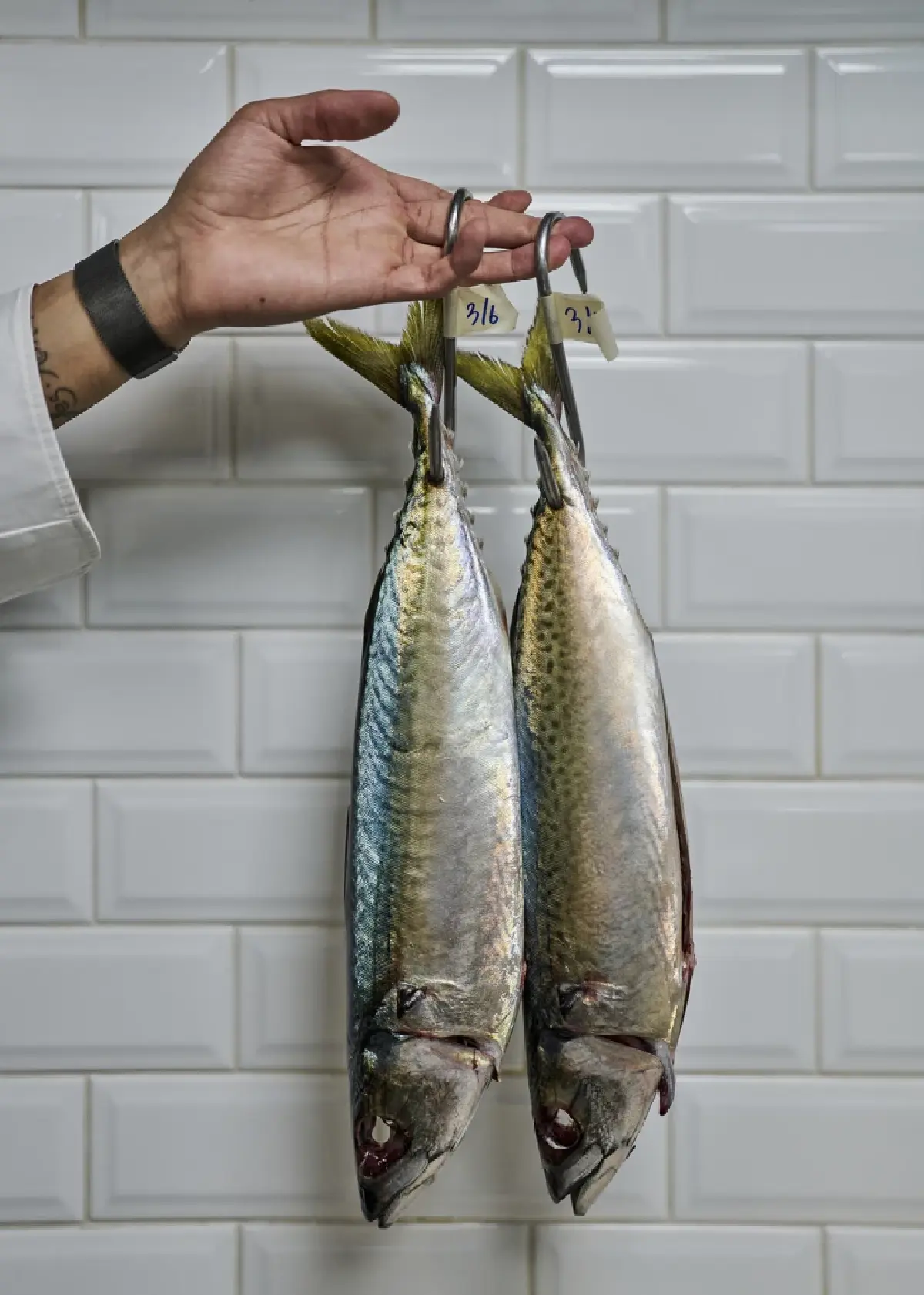 คุยกับเชฟใหม่ Blue by Alain Ducasse ฝรั่งเศสมิชลิน 5 ปีซ้อน