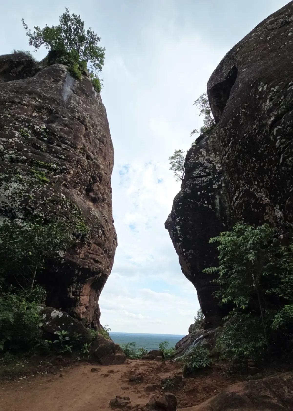 เปิดป่องเอี้ยมเยี่ยมแดนอีสาน ‘ถ้ำนาคา ป่าคำชะโนด’ และ หินสามวาฬ