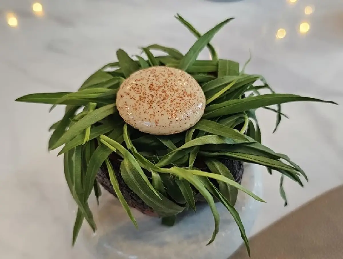 เมนูใหม่ ประจำฤดูร้อน ที่ ห้องอาหาร ‘ดูเอท บาย เดวิด ทูแทง’