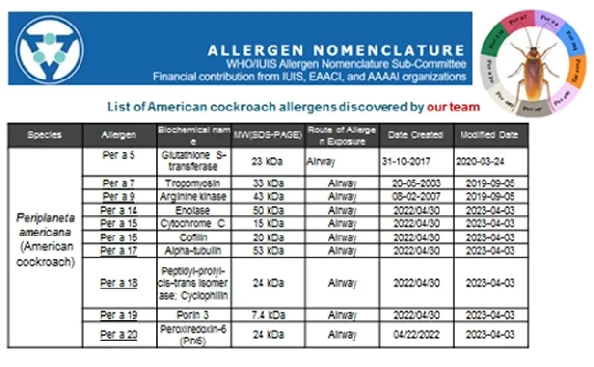 แพทย์ศิริราช อัปเดตงานวิจัย โรคภูมิแพ้แมลงสาบในประเทศไทย