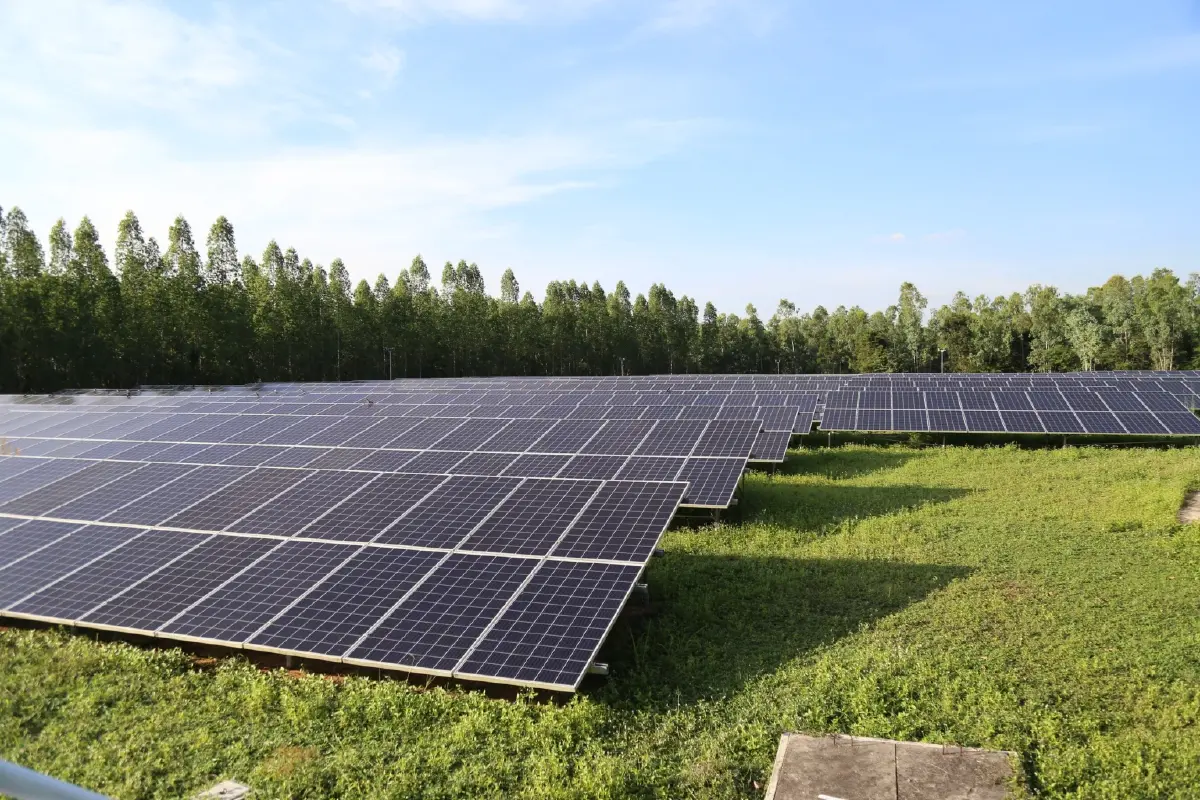 ‘BLC’ ดัน ‘สมุนไพรนวัตกรรม’เสนอภาครัฐทำงานร่วม เพิ่มมูลค่าทางเศรษฐกิจ