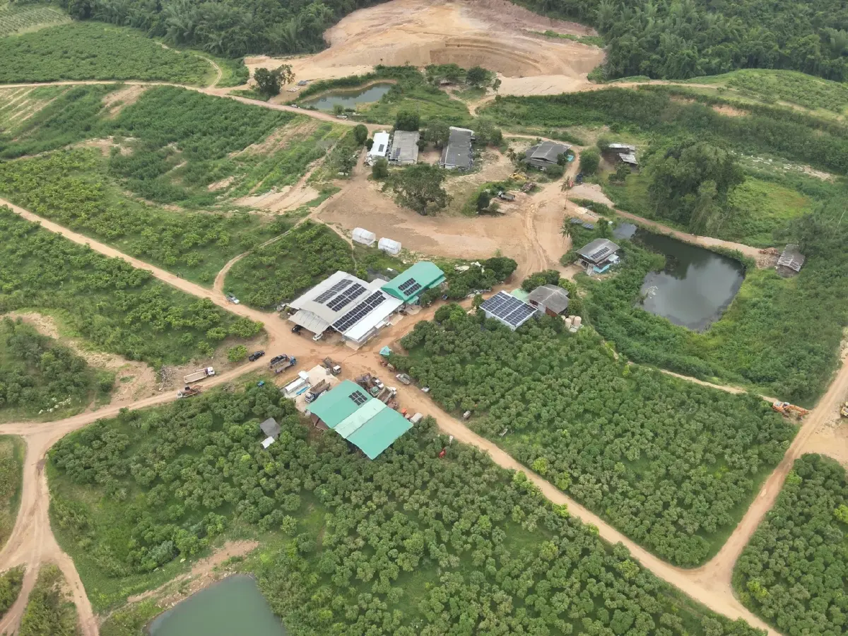 'ไร่ดังในหัวหิน'  รุกป่าแก่งกระจานและที่ราชพัสดุกว่า 3,900 ไร่