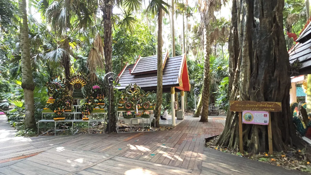 เปิดป่องเอี้ยมเยี่ยมแดนอีสาน ‘ถ้ำนาคา ป่าคำชะโนด’ และ หินสามวาฬ