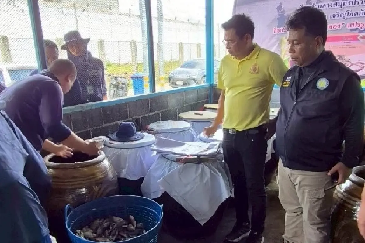 ยกระดับน้ำปลาหับเผย จากปลาหมอคางดำ สู่ของดีคู่ครัวไทย