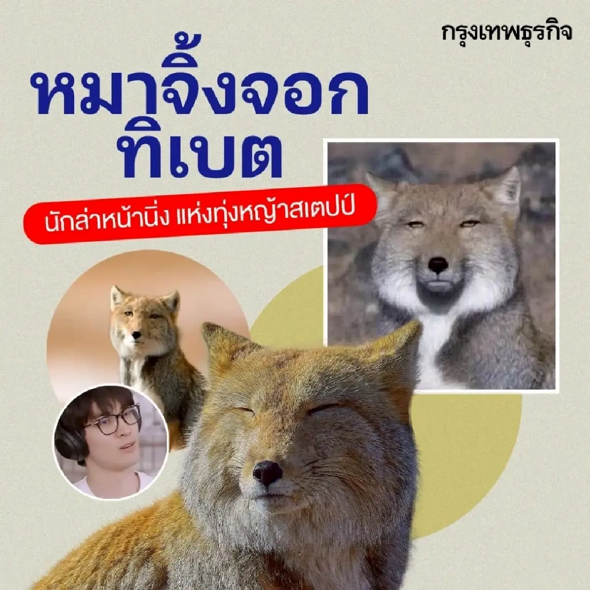 ทำความรู้จัก 10 สัตว์โลกสุดมีม ที่ชาวโซเชียลหลงรัก