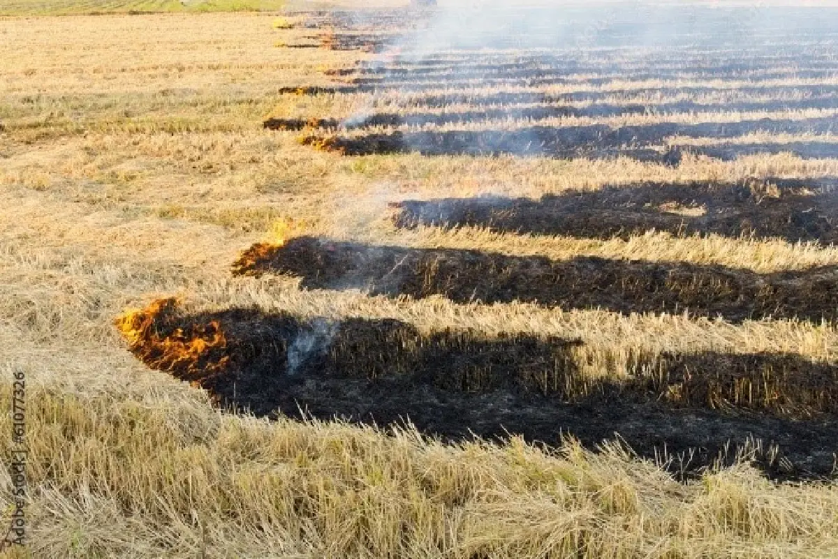 สำรวจทางรอดท่องเที่ยวไทย เมื่อโลกร้อน และฝุ่นคลุมฟ้าไทย