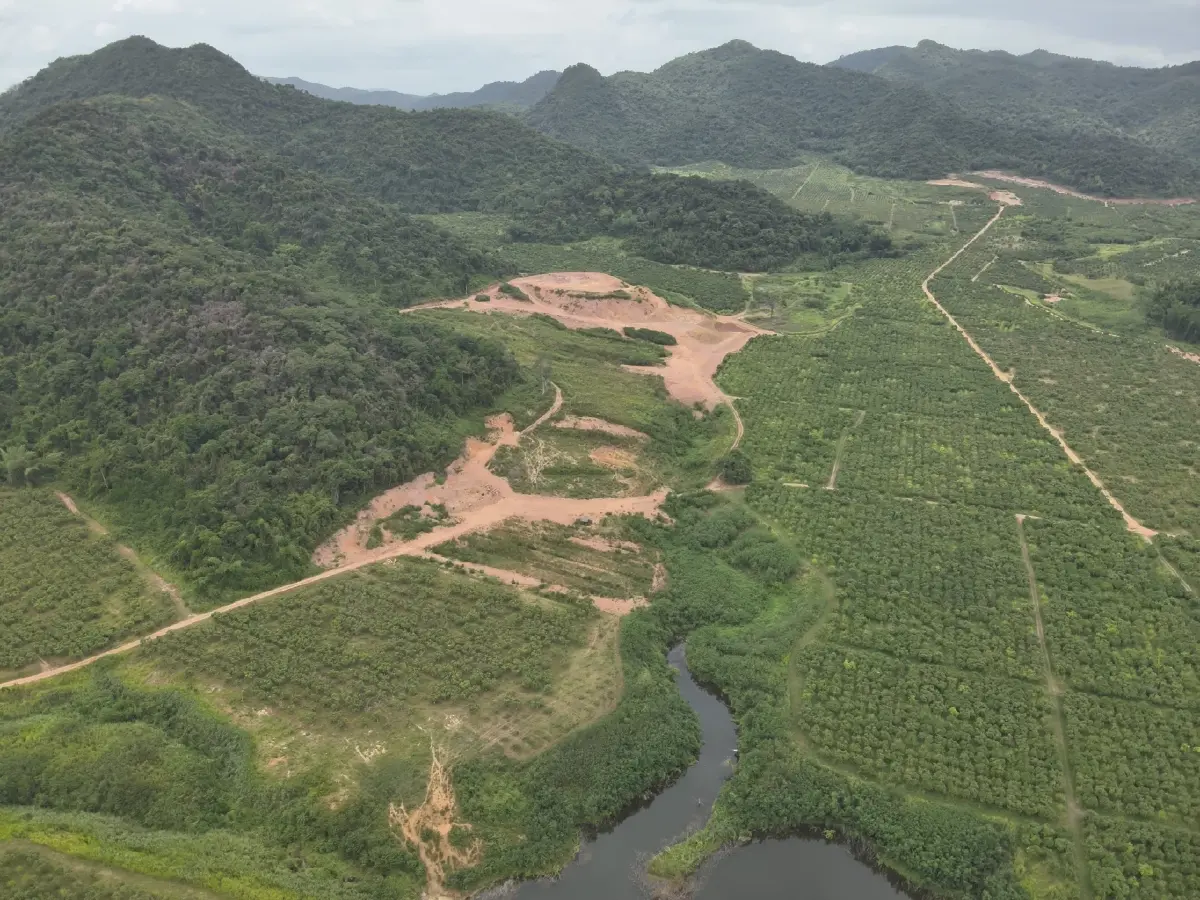 'ไร่ดังในหัวหิน'  รุกป่าแก่งกระจานและที่ราชพัสดุกว่า 3,900 ไร่