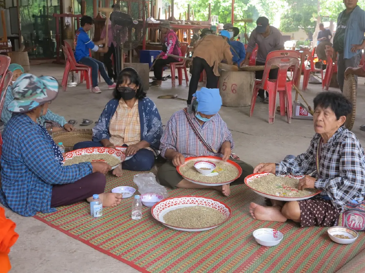 ข้าวเม่ากู้ชาติ ด้วยรักในข้าว