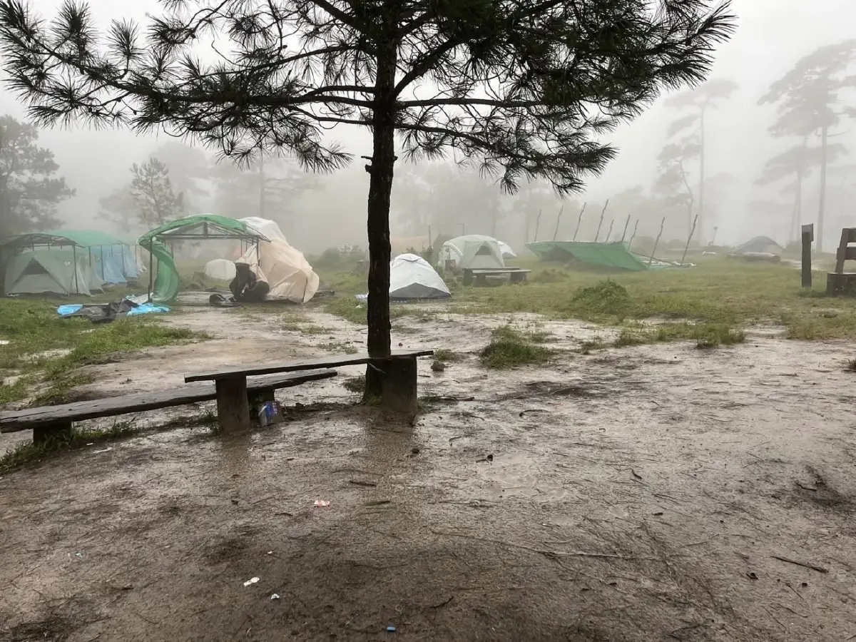 ฝนตกหนัก ลมแรง อช.ภูสอยดาว ปิดท่องเที่ยว-พักแรมบริเวณลานสนชั่วคราว
