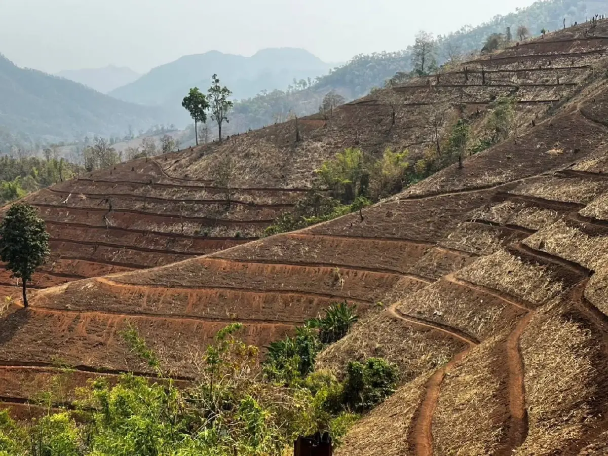 กรมพัฒนาที่ดินเล็งเข้าฟื้นฟูหลังน้ำท่วม ดินพัง น้ำเน่า