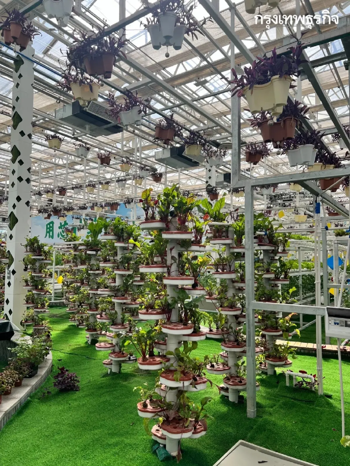 พลิกฟื้น ‘เกษตรกรรม’ ใน ‘ซินเจียง’ ด้วยเทคโนโลยี