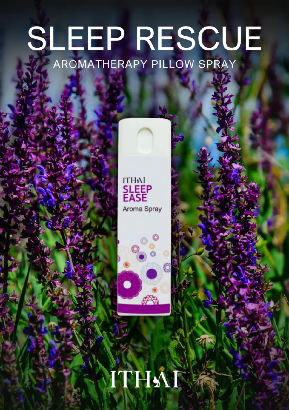 'อัยย์ไทย' SME สมุนไพรร่วมสมัย  Soft Power ไทยศูนย์กลางสมุนไพรโลก