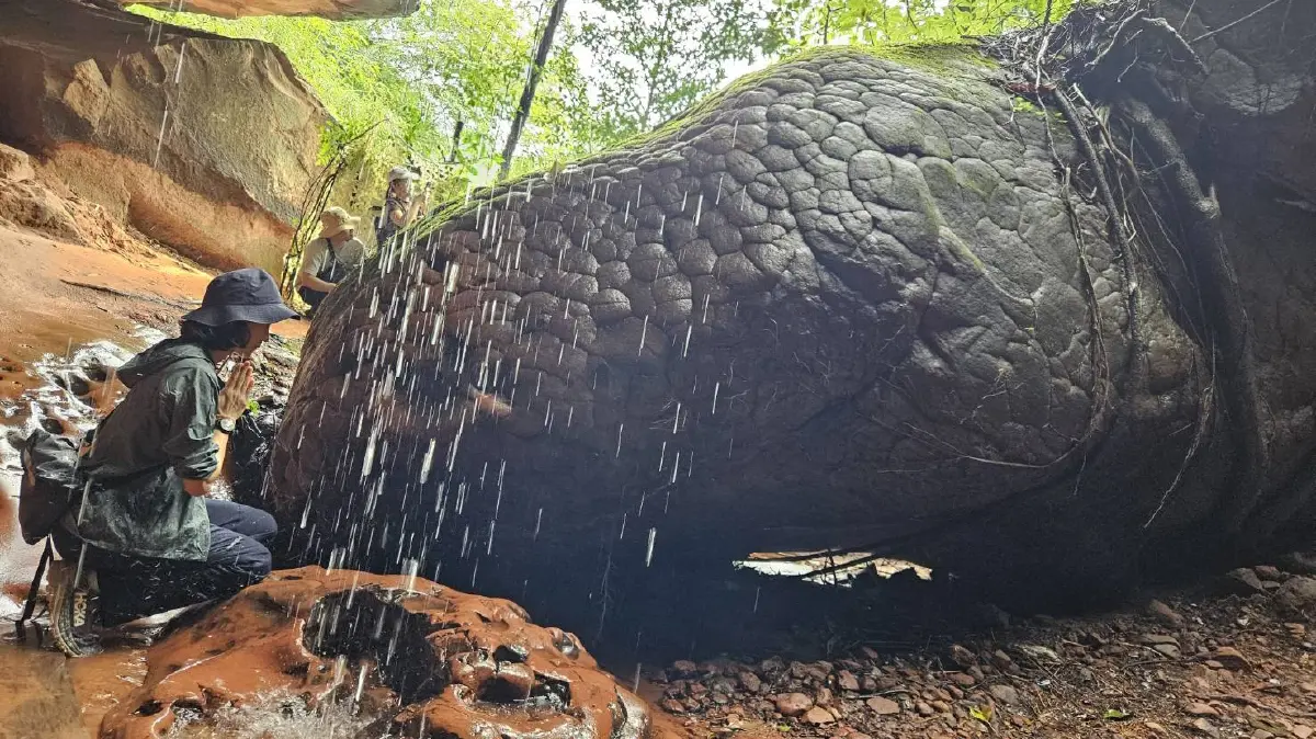 เปิดป่องเอี้ยมเยี่ยมแดนอีสาน ‘ถ้ำนาคา ป่าคำชะโนด’ และ หินสามวาฬ