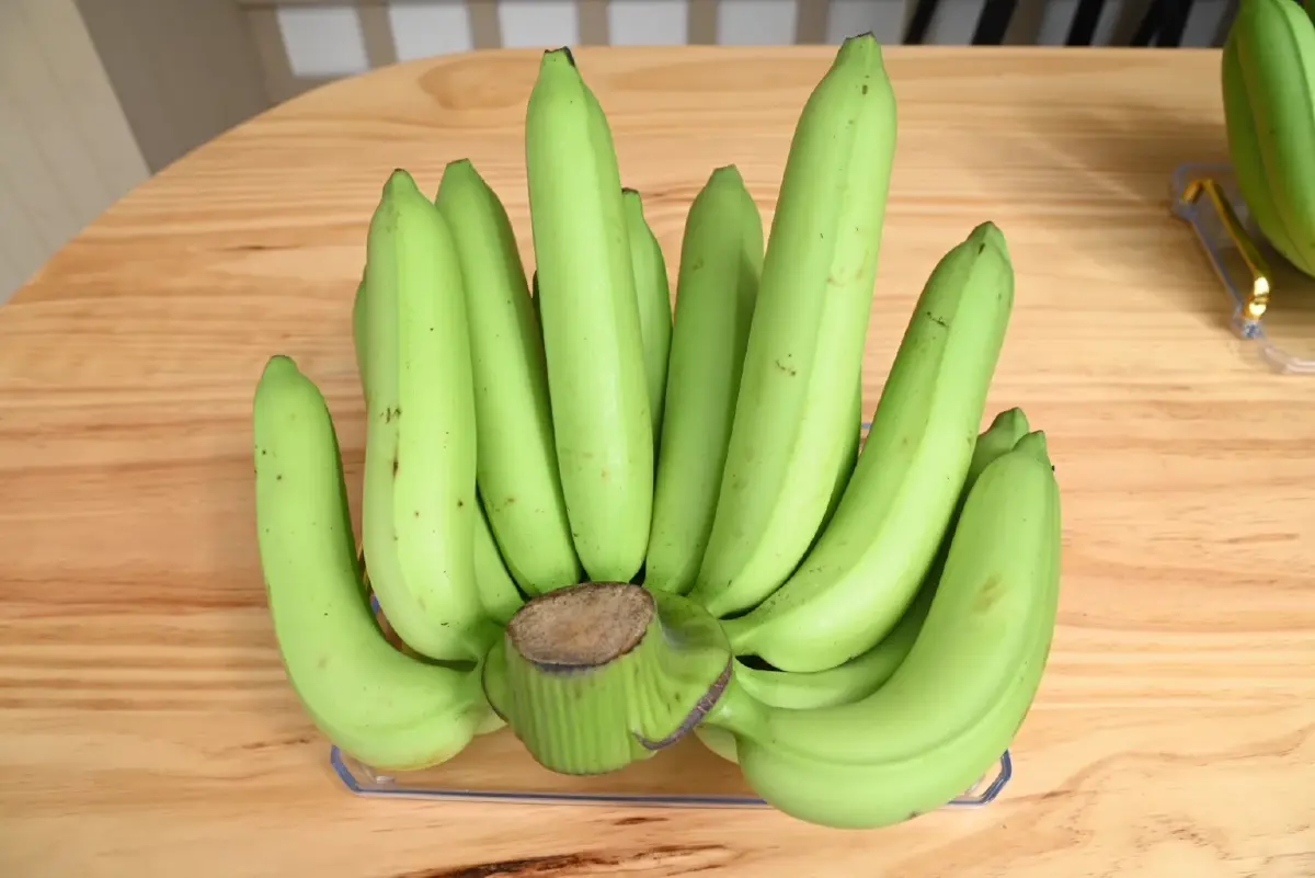 “สุชาติ”  ใช้ ตลาดนำการผลิต หนุน”กล้วยหอมเขียว“ สู่ตลาดส่งออกญี่ปุ่น