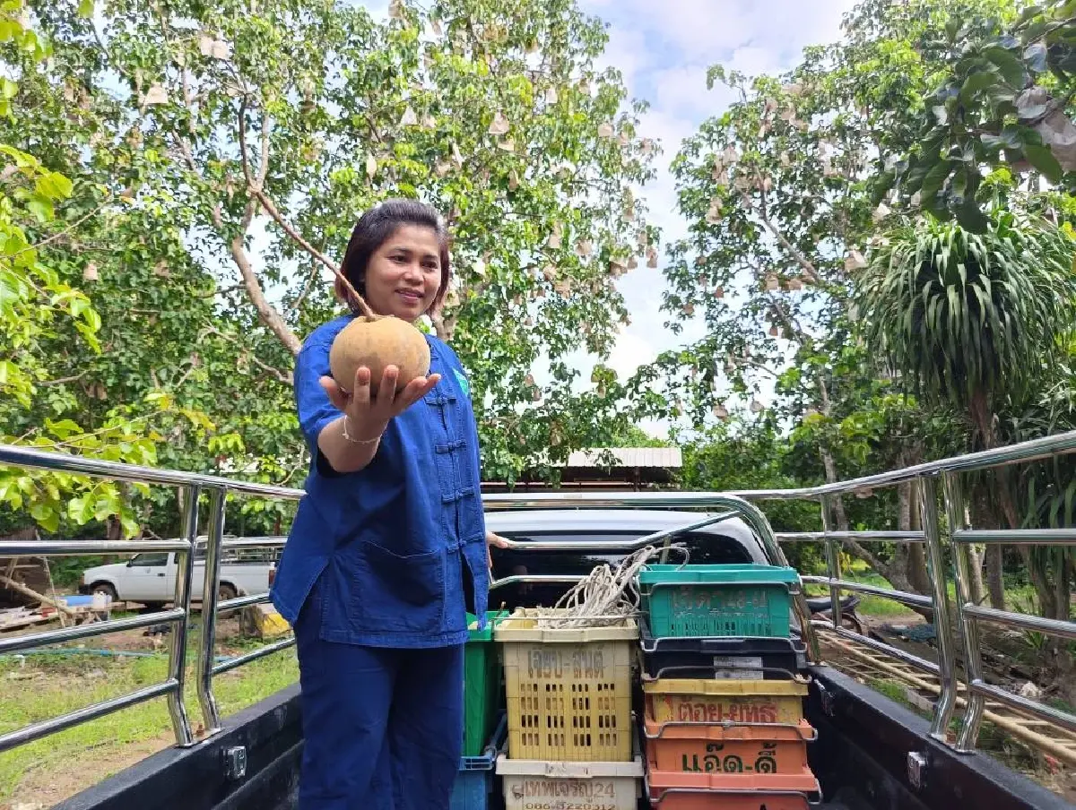 'ท็อปส์' มาแล้ว ประกาศรับซื้อผลไม้เกษตรชายแดน ติดปัญหาขนส่งไปกัมพูชาไม่ได้