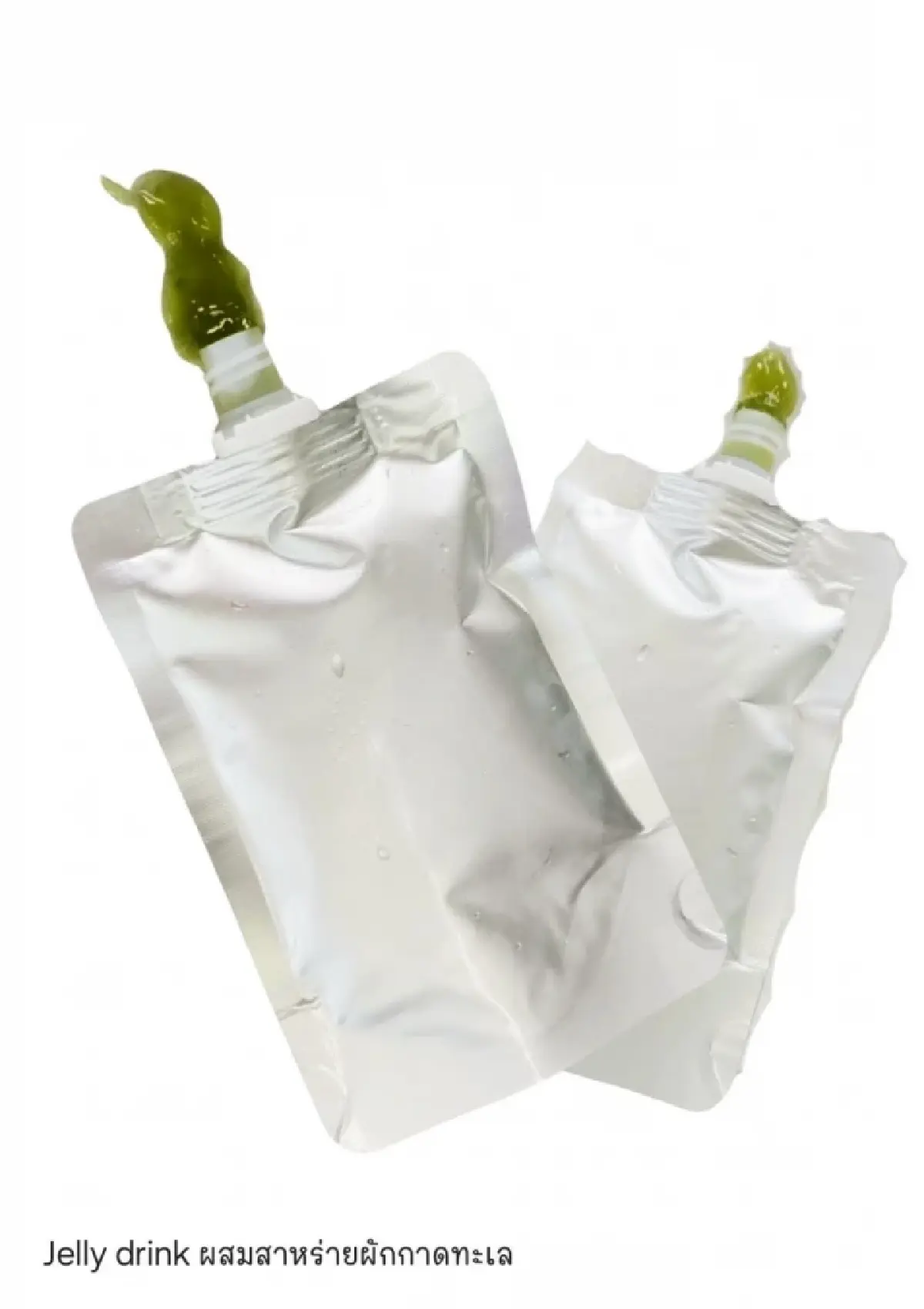 แพ็กเกจจิงรักษ์โลก จากสาหร่ายผักกาดทะเล  อีกช่องทางรายได้เกษตรกร