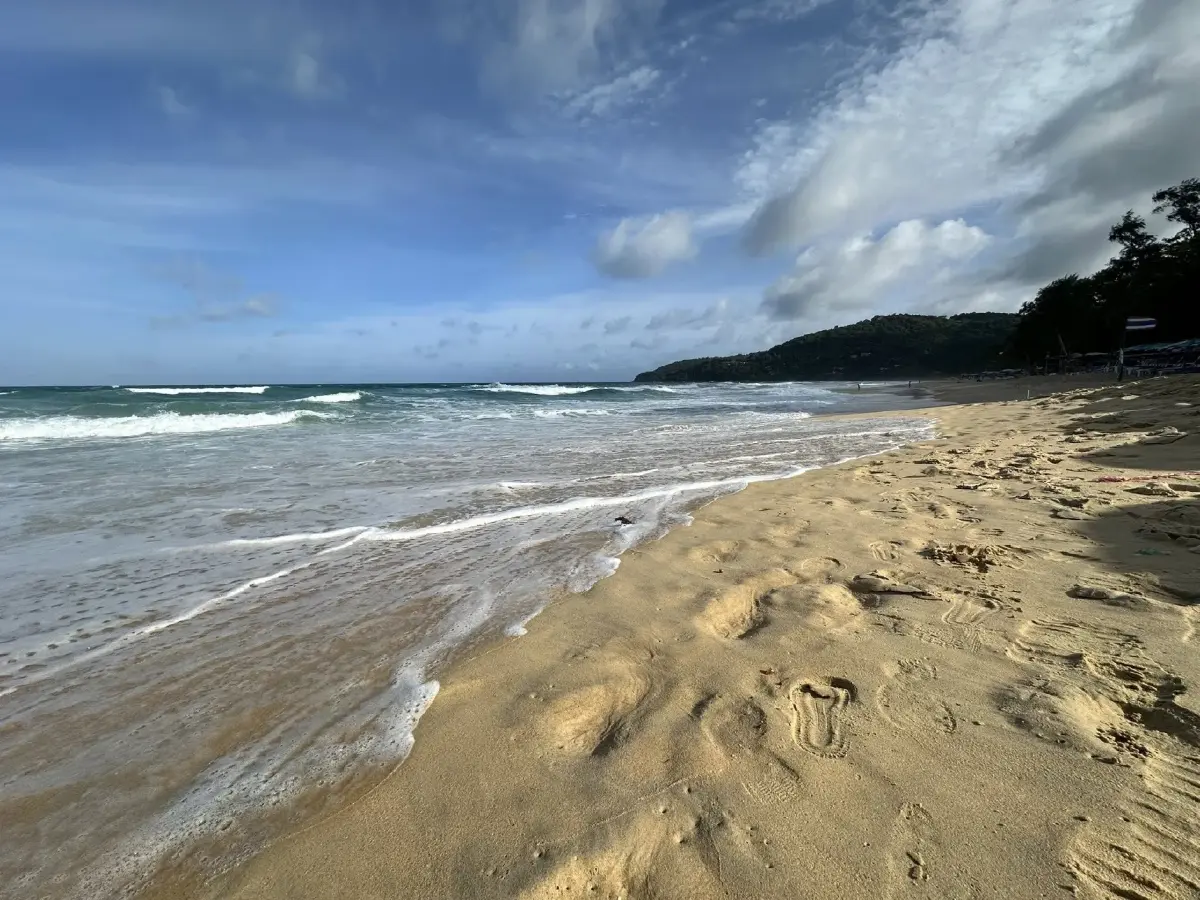 สวยสังหาร มังกรทะเลสีน้ำเงิน Blue Dragon บุกหาดกะรน พิษร้ายถึงตาย