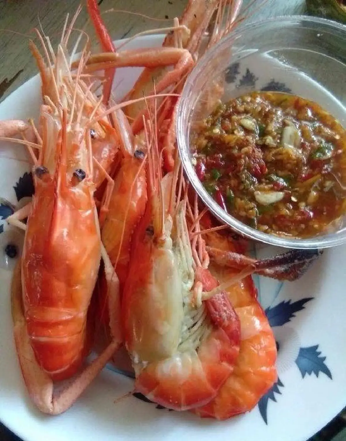 กาบา พรายฟองวิถีชีวิตชาวกาตาลัน