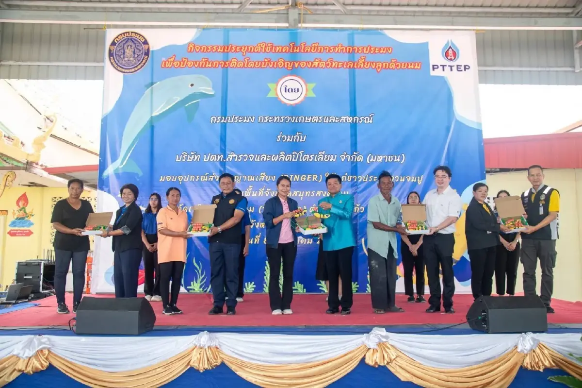 เกษตรกรสมุทรสงครามปล่อยปลากะพงขาว กำจัดปลาหมอคางดำในบ่อเลี้ยงหอยแครง