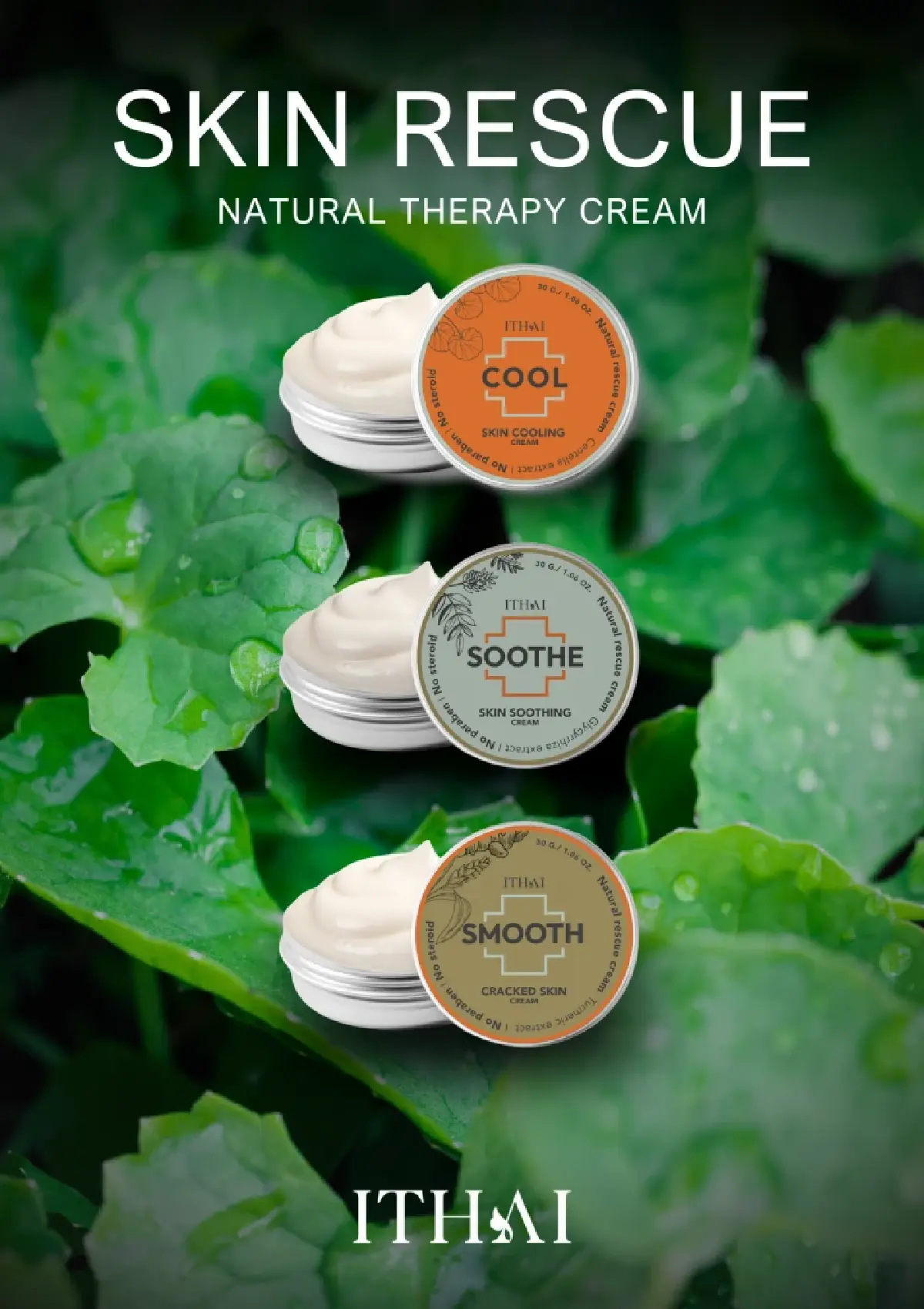 'อัยย์ไทย' SME สมุนไพรร่วมสมัย  Soft Power ไทยศูนย์กลางสมุนไพรโลก