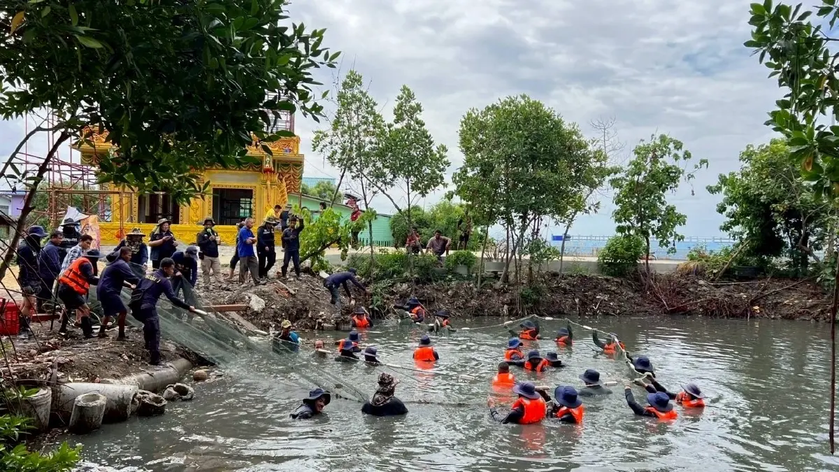 ยกระดับน้ำปลาหับเผย จากปลาหมอคางดำ สู่ของดีคู่ครัวไทย