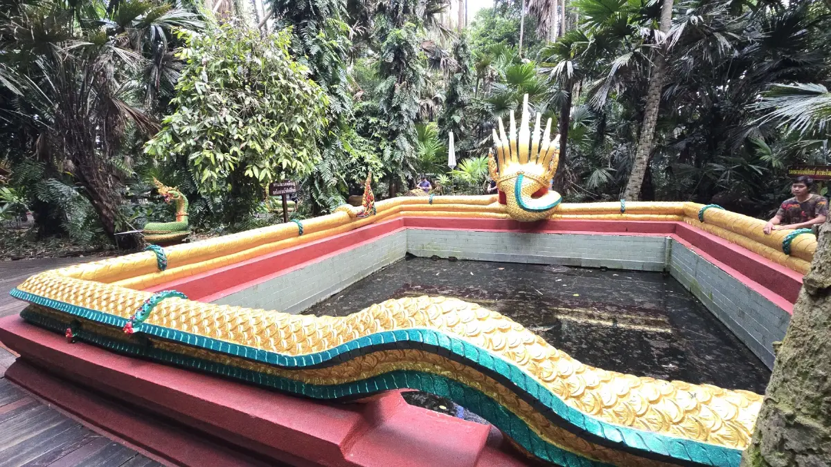 เปิดป่องเอี้ยมเยี่ยมแดนอีสาน ‘ถ้ำนาคา ป่าคำชะโนด’ และ หินสามวาฬ