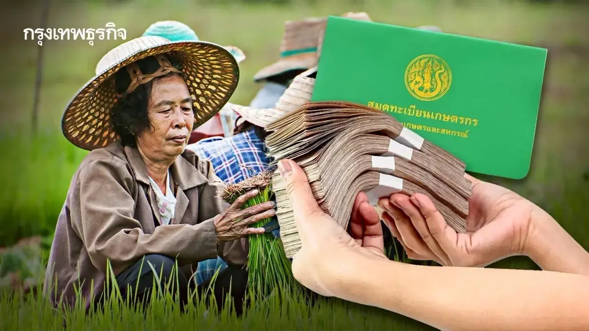 เงินช่วยเหลือชาวนา ข้าวนาปี ไร่ละ 1200 นาปรัง ไร่ละ 1000 ใครได้บ้าง