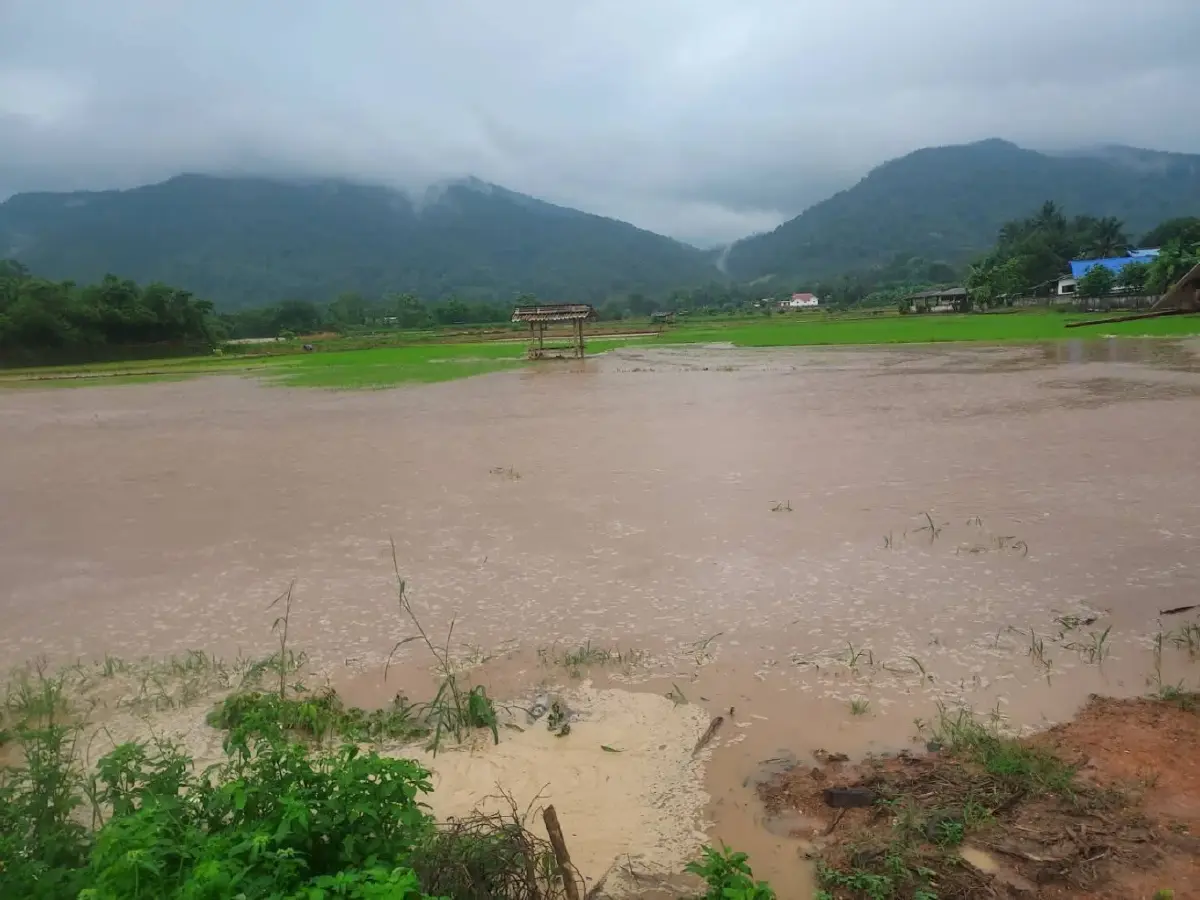 น้ำท่วมน่านอ่วม ฝนตกหนักถล่ม ทุ่งช้าง-เชียงกลาง ปภ. เตือนดินถล่ม