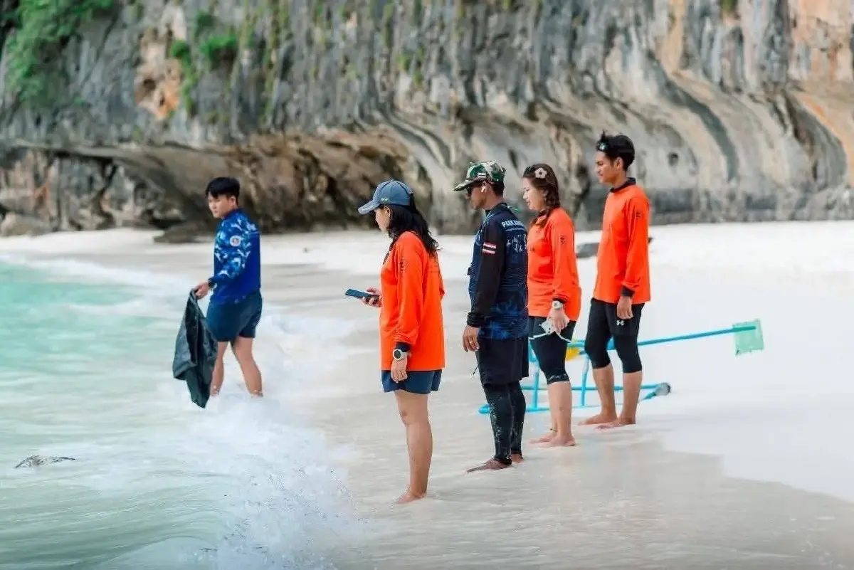 ฝูง 'ฉลามครีบดำ' นับร้อย โผล่อ่าวมาหยา ชี้คืนชีพแหล่งท่องเที่ยวดัง