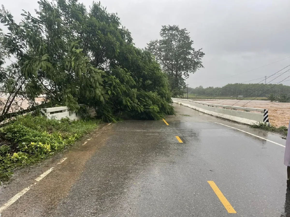 พิษพายุวิภา น้ำท่วมน่าน สะพานข้ามแม่น้ำปัวพังถล่ม ถนนถูกตัดขาด