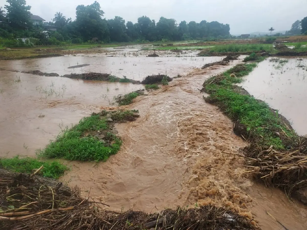 น้ำท่วมน่านอ่วม ฝนตกหนักถล่ม ทุ่งช้าง-เชียงกลาง ปภ. เตือนดินถล่ม