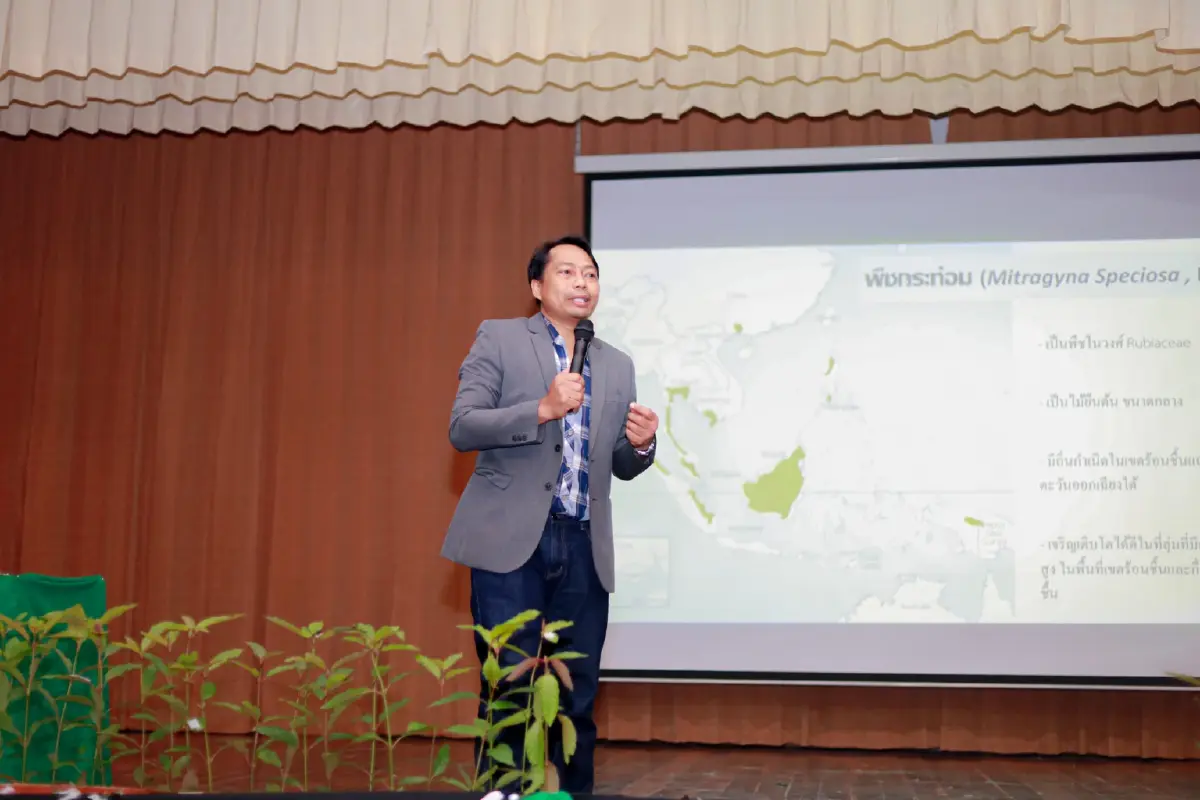 ดร.กระท่อม ไบโออ์ เดินหน้าผลักดัน 'กระท่อมไทย' สู่ตลาดโลก