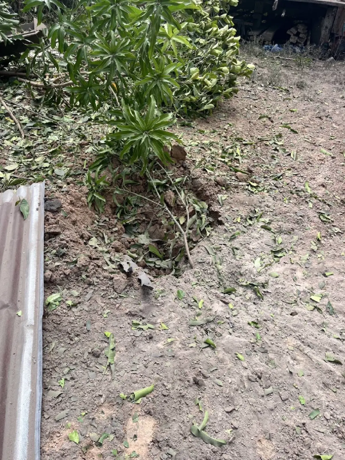 ทบ.ประณาม ทหารกัมพูชา ยิง  BM-21 โจมตีพลเรือน เจ็บ 3 คน  เป็นเด็ก1 คน เร่งอพยพ