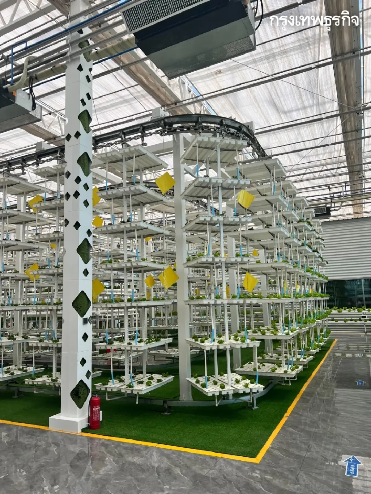 พลิกฟื้น ‘เกษตรกรรม’ ใน ‘ซินเจียง’ ด้วยเทคโนโลยี